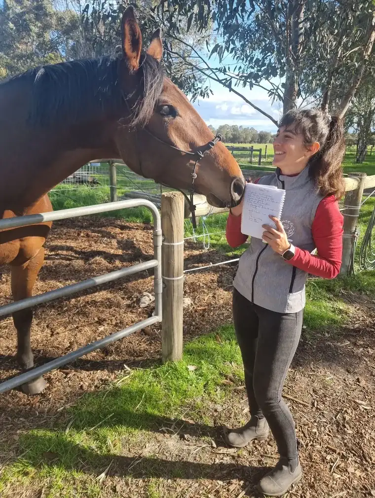 Mélanie Pey note l'anamnèse d'un cheval bai avant la séance d'ostéopathie animale