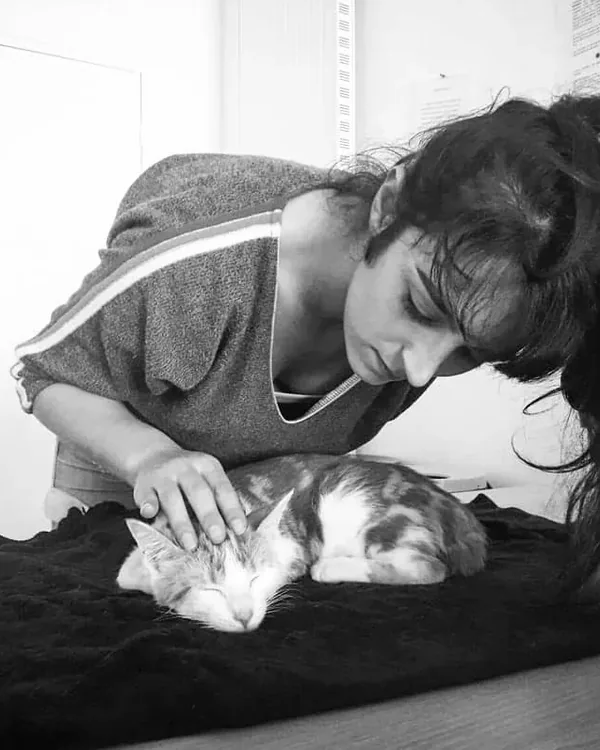 Ostéopathie féline à Mios : chat allongé sur son tapis, entièrement relâché sous la main de sa praticienne