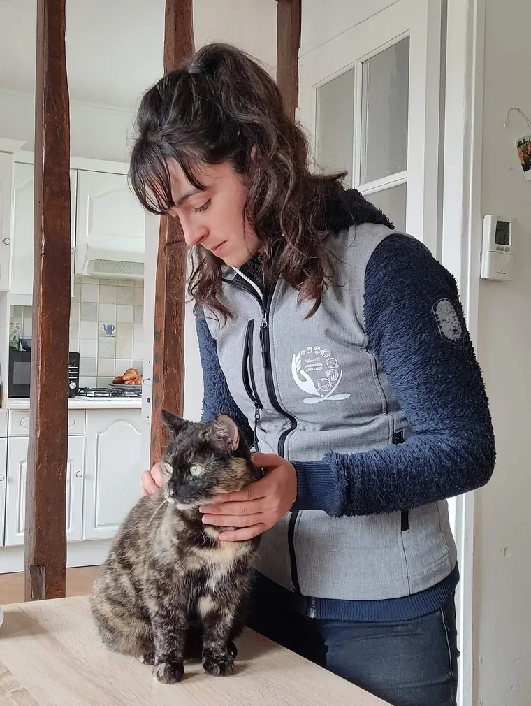 Consultation douce d'un chat écaille de tortue chez ses propriétaires, à Mios