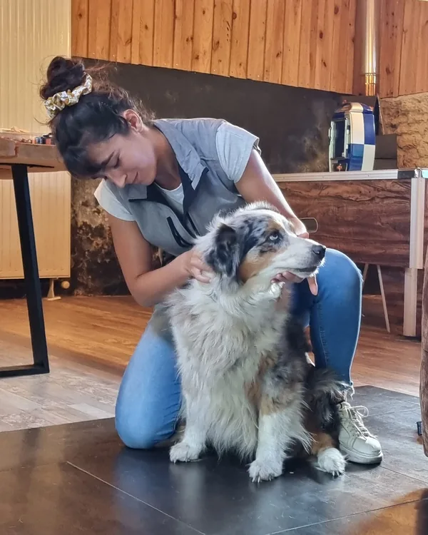 Ostéopathie canine à Mios : séance à domicile