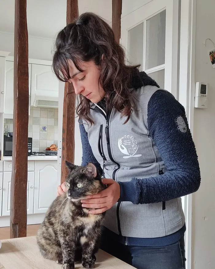 Ostéopathie féline à Mios : consultation douce d'un chat écaille de tortue chez ses propriétaires