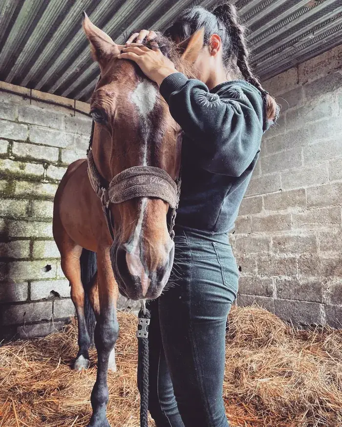 Ostéopathie équine à Mios : mobilisation de l'encolure d'un cheval bai à l'écurie