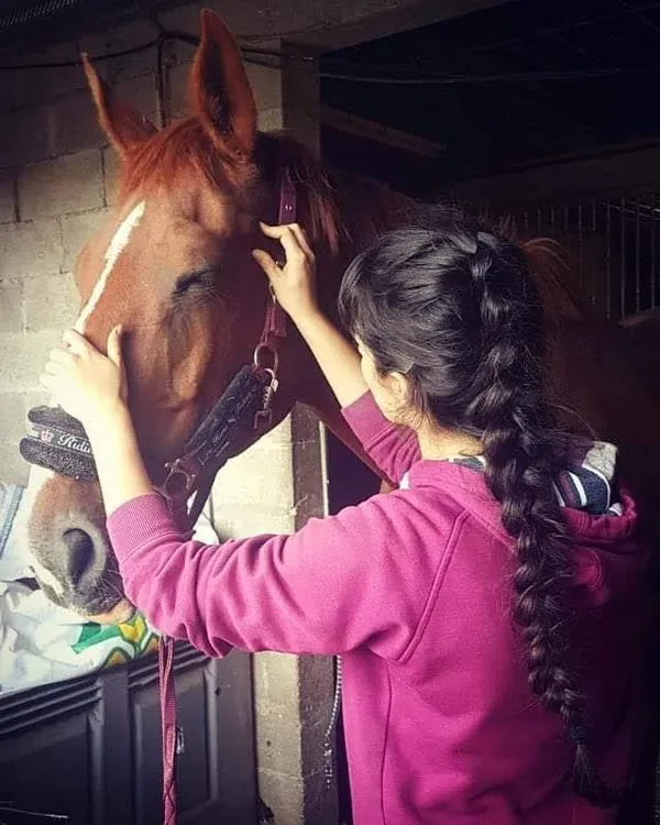 Cheval suivi régulièrement en ostéopathie, examiné dans son box