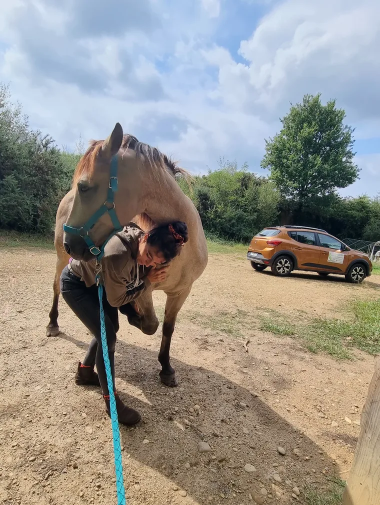 Cheval conduit en main sur un chemin, entre deux rendez-vous d'une même tournée